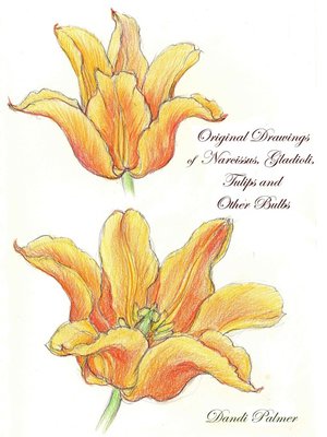 cover image of Original Drawings of Narcissus, Gladioli, Tulips and Other Bulbs